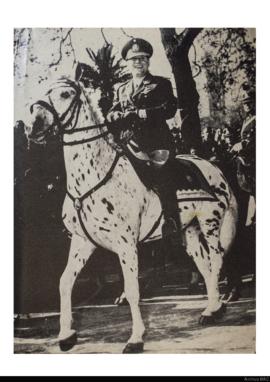Afiche político [General Juan Domingo Perón]