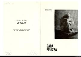 Catálogo de la exposición &quot;Sara Pelizza: esculturas&quot;