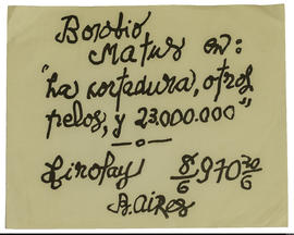 Afiche de exposición “Borobio Matus en: La cortadura, otros pelos y 23.000.000&quot;