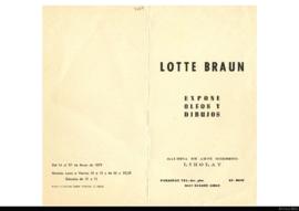 Catálogo de la exposición &quot; Braun: óleos y dibujos&quot;