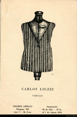 Catálogo de la exposición &quot;Carlos Liuzzi: tintas&quot;