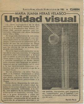 Reseña de Fermín Févre &quot;María Juana Heras Velasco: Unidad visual&quot;