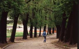 Reportaje fotográfico &quot;Buenos Aires. (Parque Lezama, San Telmo). Internegativos&quot;