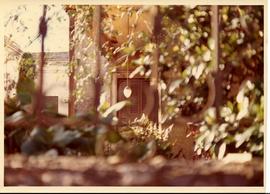 Fotografía [Vista de la fachada de una casa a través de una reja con vegetación]
